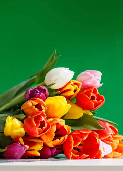 Tulipani colorati su verde — Foto Stock