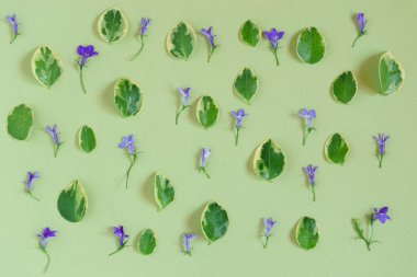 güzel çiçek dekorasyonu