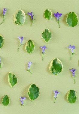 güzel çiçek dekorasyonu