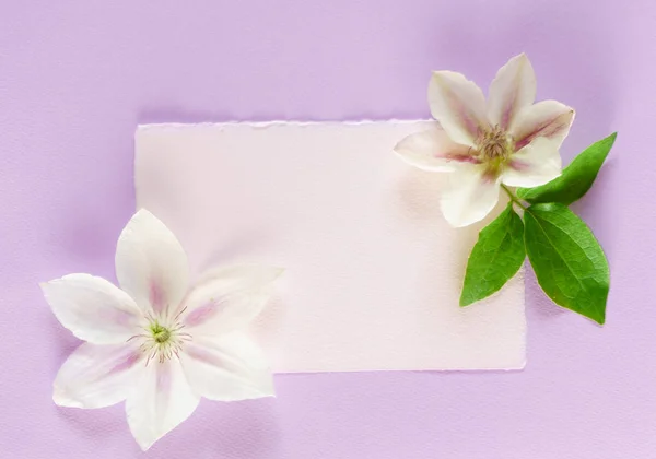 Beautiful flowers composition — Stock Photo, Image