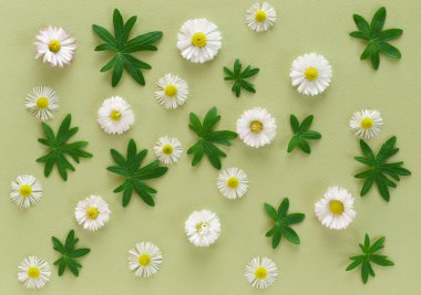 güzel çiçek dekorasyonu