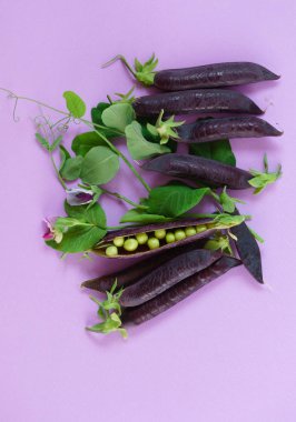 limon ve beyaz halfes