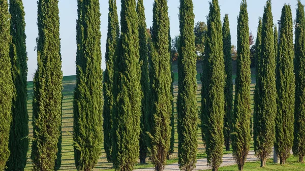 Bela paisagem da Toscana — Fotografia de Stock