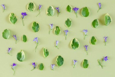 güzel çiçek dekorasyonu