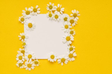  çiçek kağıt kartındaki