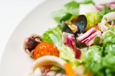 taze deniz ürünleri salatası