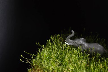 çimenlerin üzerinde hayvan oyuncak