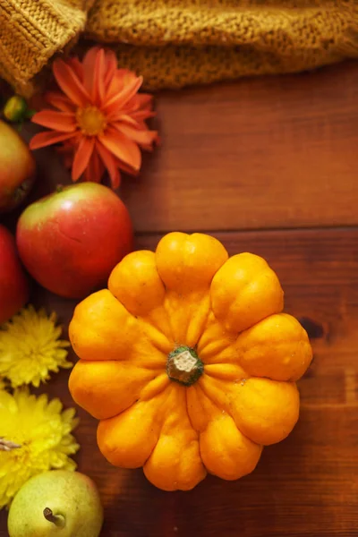 Konceptet med frukter och pumpa — Stockfoto