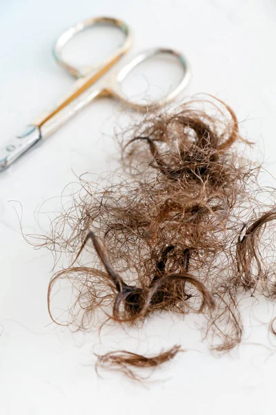 Pubic Hair Scissors Close — Stock Photo, Image
