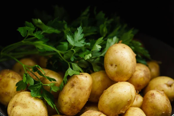 新鲜的蔬菜、 土豆 — 图库照片