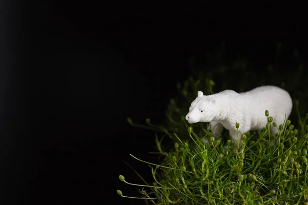 Тварина іграшка на траві — стокове фото