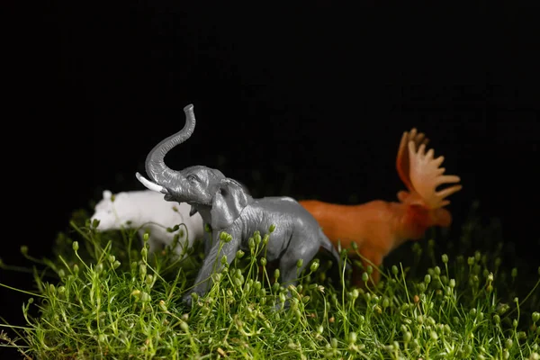 Animal toys on the grass — Stock Photo, Image