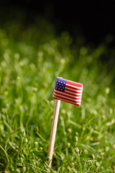 American flag on teh  meadow — Stock Photo, Image