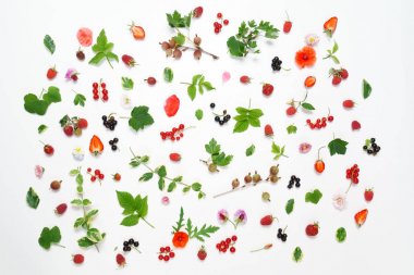 çilek ile yaz konsepti