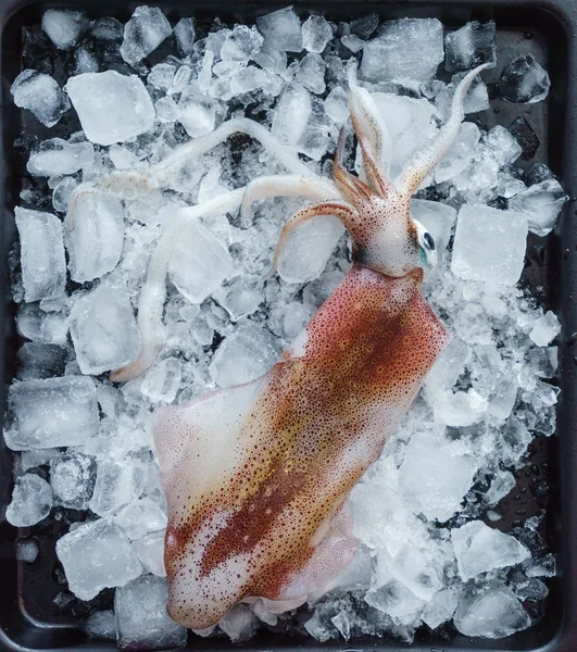 Calamares frescos, comida —  Fotos de Stock