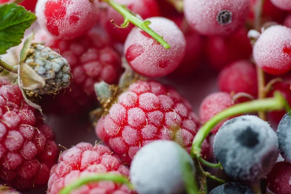 Kırmızı dondurulmuş meyveler — Stok fotoğraf