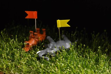  kavram. hayvanlar koruma