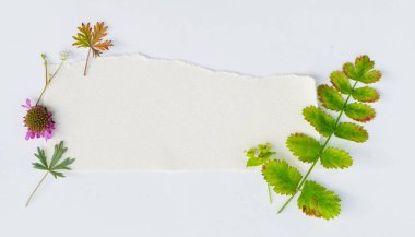 bitkiler ile doğa kompozisyon 