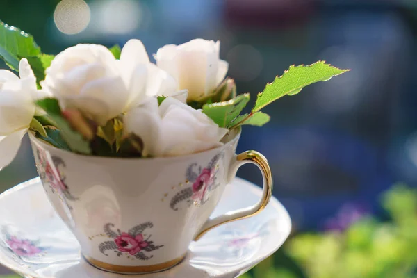 杯子里的白玫瑰 — 图库照片