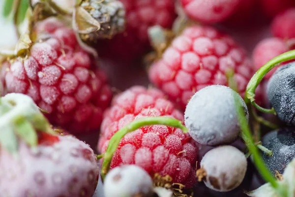 Lezzetli dondurulmuş meyveler — Stok fotoğraf