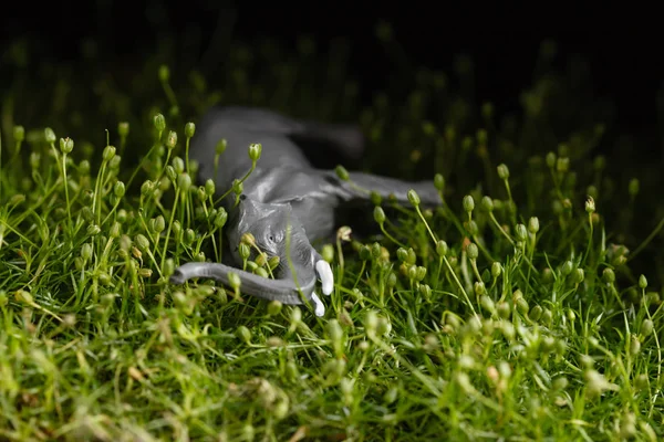 Dieren speelgoed op het gras — Stockfoto