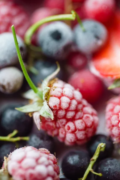 Délicieux fruits surgelés — Photo