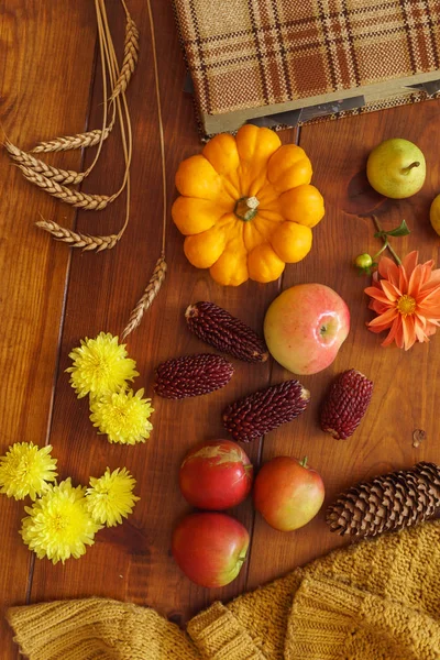  kavramı apple ve kabak ile 