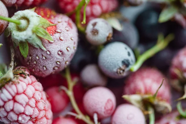 Вкусные замороженные ягоды — стоковое фото