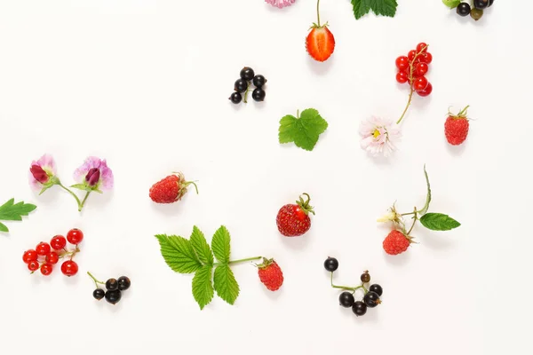 Концепція літа з ягодами — стокове фото
