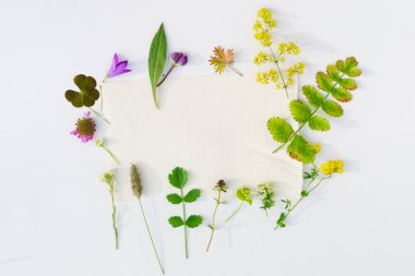 bitkiler ile doğa kompozisyon 