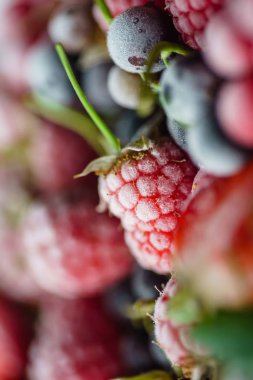 lezzetli dondurulmuş meyveler