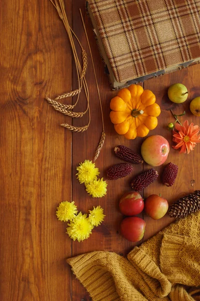  kavramı apple ve kabak ile 