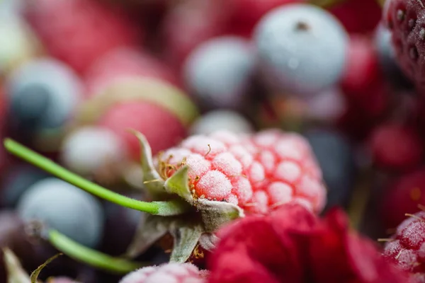 Délicieux fruits surgelés — Photo