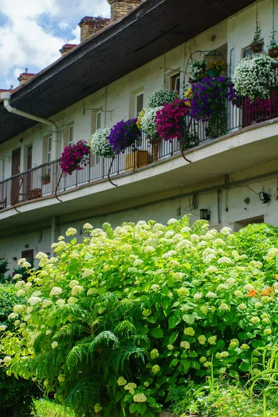 Beautiful decorated balcony — Stock Photo, Image