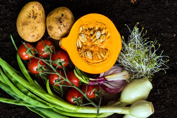 Produtos hortícolas biológicos frescos — Fotografia de Stock