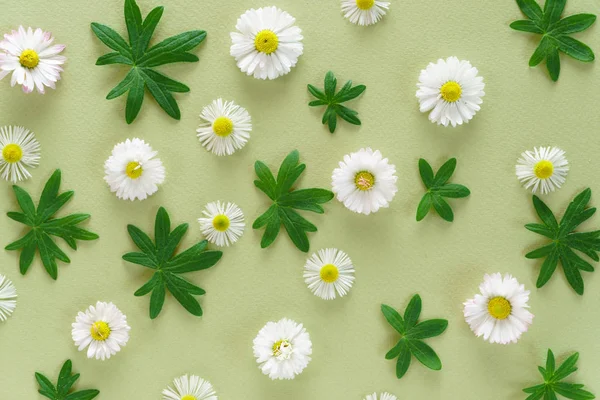 güzel çiçek kompozisyon