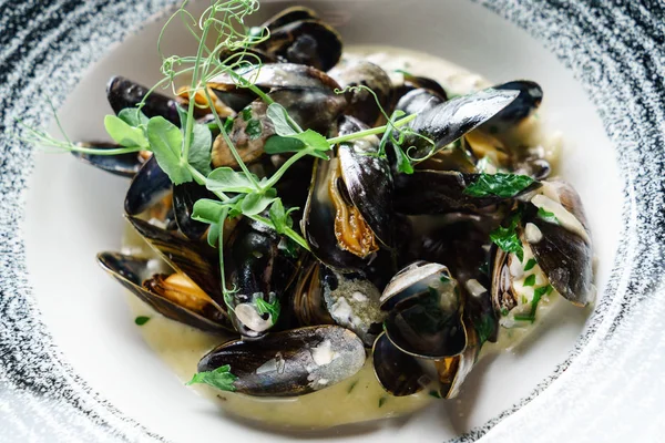 Deliziose cozze al vapore — Foto Stock