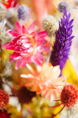 güzel sonbahar çiçekler