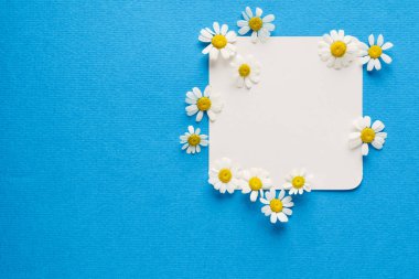 güzel çiçekler ve kağıt