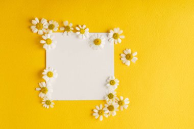 güzel çiçekler ve kağıt