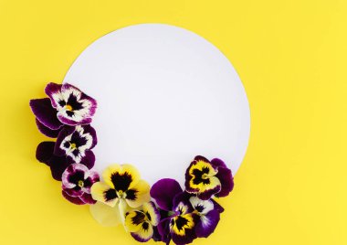 güzel homo çiçekler