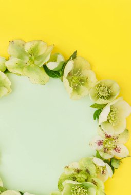 Güzel bahar çiçekleri