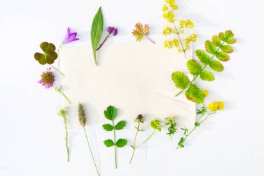 bitkiler ile doğa kompozisyon 