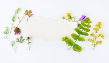 bitkiler ile doğa kompozisyon 