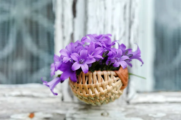 Bluebell piękne kwiaty — Zdjęcie stockowe
