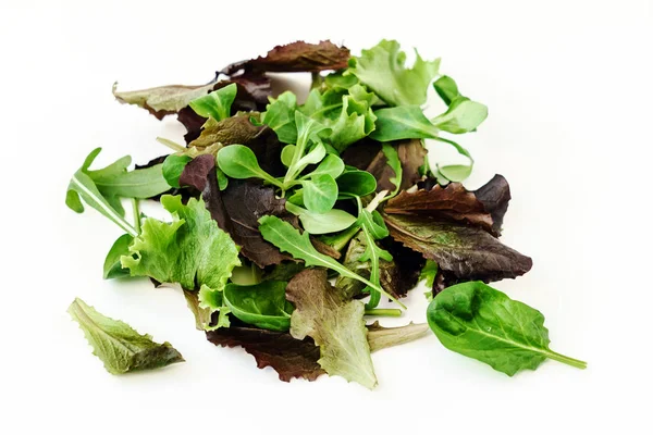 Fresh salad leaves — Stock Photo, Image