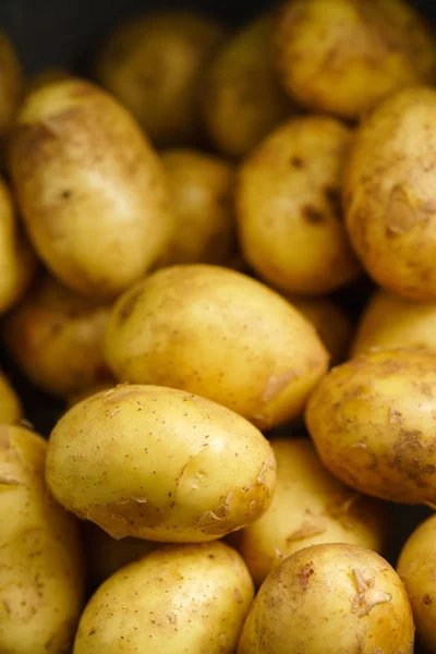 Legumes frescos, batatas — Fotografia de Stock