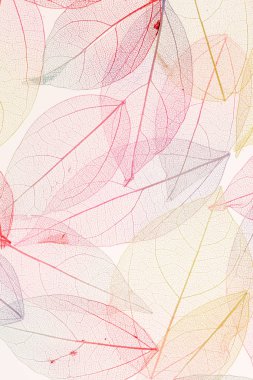 arka plan rengi değiştirmez