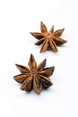 yıldız anason baharat