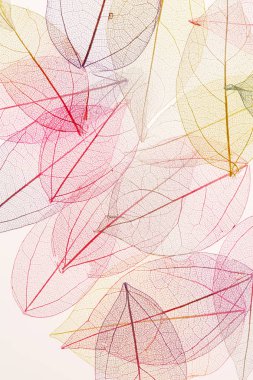 arka plan rengi değiştirmez